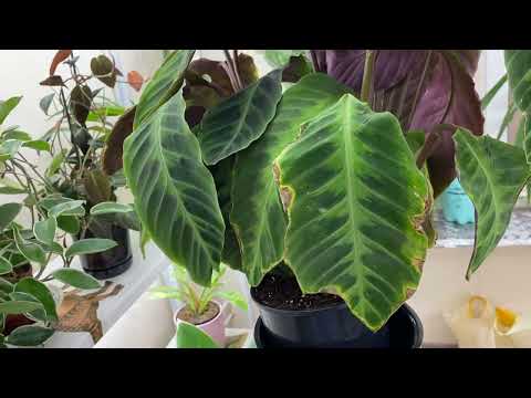 Видео: Последнее видео перед МАСШТАБНЫМИ изменениями