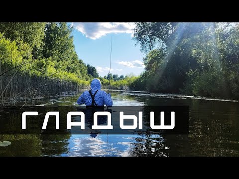 Видео: ГЛАДЫШ приманка для голавля