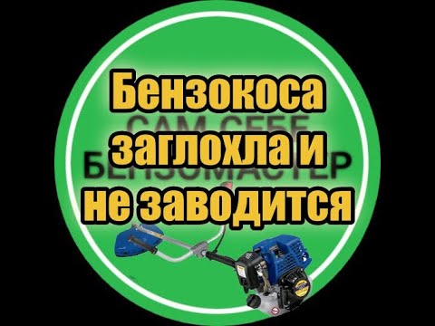 Видео: Бензокоса "Expert" заглохла и не заводится. Ремонт бензокосы .
