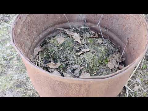 Видео: У меня пропал кот! Обзор участка и новости 08.04.2023