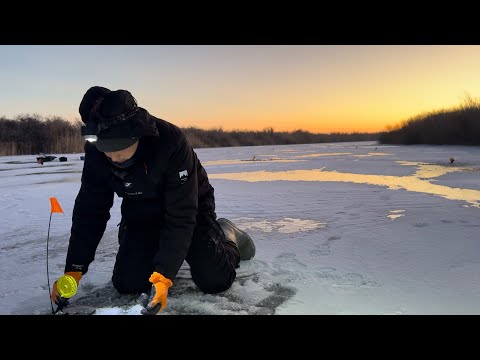 Видео: Рыбалка на ЖЕРЛИЦЫ 2024-25! НА РЕКЕ в дали от цивилизации.