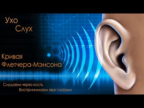 Видео: Ухо (устройство и работа), слух (музыкальный и абсолютный), восприятие через кость, вибрации и цвет.