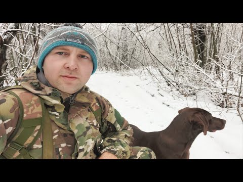 Видео: ОГО СТОЛЬКО ТУТ СЛЕДОВ. ОХОТА НА ЗАЙЦА 2025