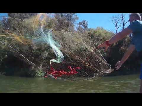 Видео: Кас  сеть Обзор на водоеме