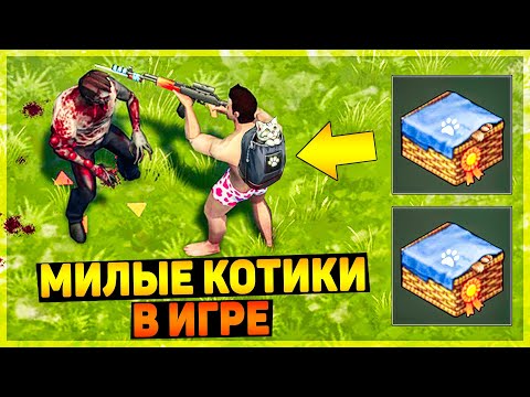 Видео: МИЛЫЕ КОТИКИ В LDOE! Я 2 ГОДА ОХОТИЛСЯ ЗА ЭТИМ ТРОФЕЕМ - КАЛАШ ТОП - Last Day on Earth: Survival