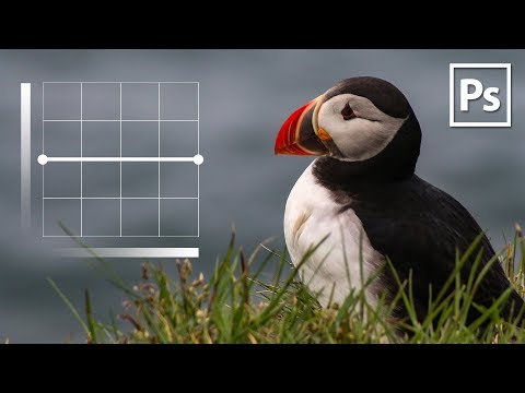 Видео: Сила «горизонтальной кривой» в Adobe Photoshop CC 2019!