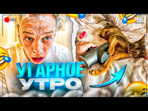 Видео: УГАРНОЕ УТРО С ПЕТРОВИЧЕМ И КАЕЙ!