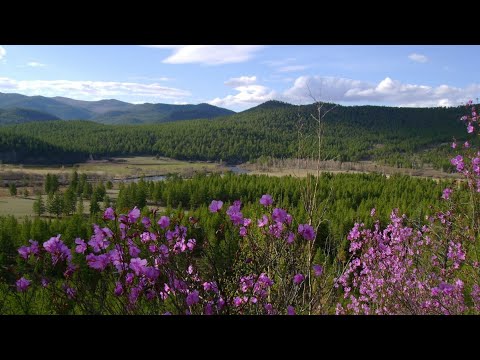 Видео: Забайкальский край| Клип к песне: НАРОД ЕДИНЫЙ-Забайкалье