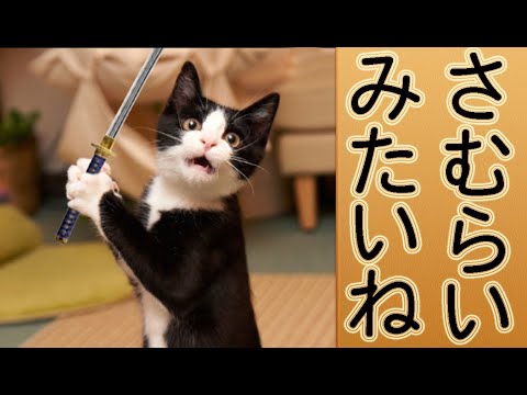 Видео: Грамматика. 〜ような / ように / みたい. Урок японского языка