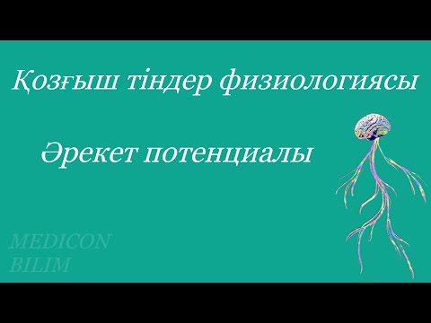 Видео: Әрекет потенциалы. Потенциал действия. Физиология | курсқа тіркелу👇