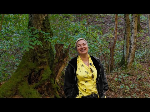Видео: Пойдём прогуляемся в лесу🤗