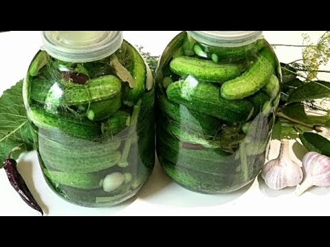 Видео: САМЫЙ ПРОСТОЙ способ засолки огурцов на зиму. КВАШЕНЫЕ ОГУРЦЫ /Salted cucumbers