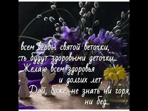 Видео: Вербное Воскресенье!