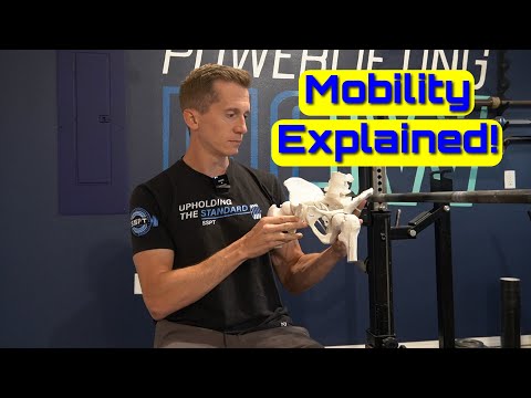 Видео: Понимание ориентации таза в приседаниях и становой тяге