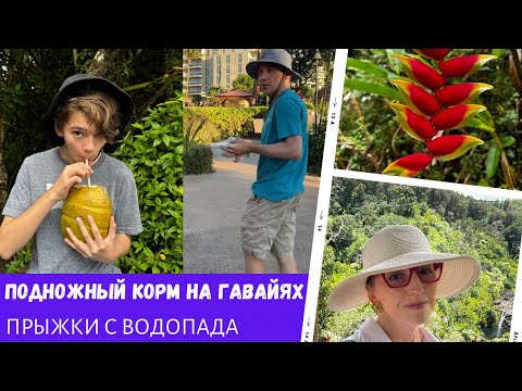 Видео: Подножный корм на Гавайях / Прыжки с водопада / Грилим мясо на Гавайях / Влог США