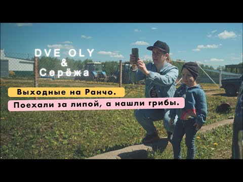 Видео: DveOly | выходные на Ранчо | Поехали за липой, а нашли грибы.