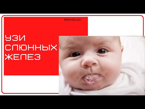 Видео: Ультразвуковое исследование (УЗИ) слюнных желез, запись вебинара.