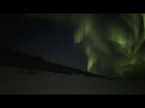 Видео: ПРОВЕРКА ЛОВУШЕК НА ЖИВЦА | КРАСОТА СЕВЕРА | 30.10.2025