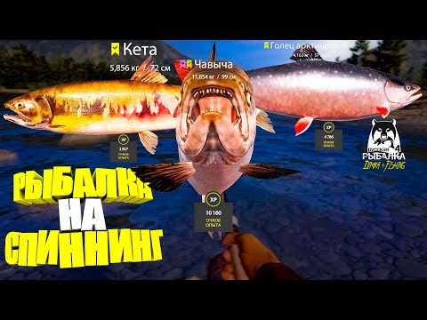Видео: Русская рыбалка 4.🎣🦈 р. Яма 🐋🐋🐋💦 РЫБАЛКА на СПИННИНГ от LATORSO 👀