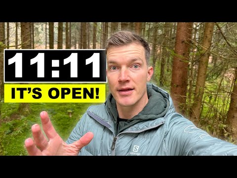 Видео: 11:11 ПОРТАЛ — ВРАТА ОТКРЫТЫ!!