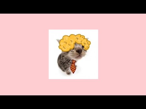 Видео: Плейлист с полматери🎧|11 песен|27 минут