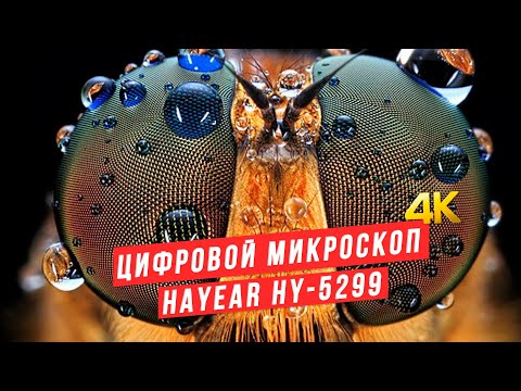 Видео: Цифровой микроскоп с 4K камерой Hayear HY-5299