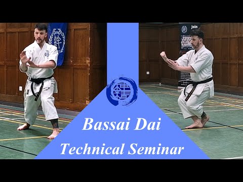 Видео: Бассай Дай – Сётокан – Технический семинар