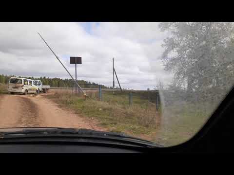 Видео: Грахово Удмуртия- загрузились мальком карпа ,выезжаем на просторы Удмуртии для выпуска по водоемам.