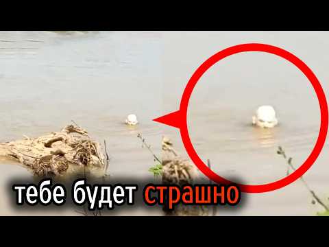 Видео: Самые Ужасные Видео со Всего Мира #67