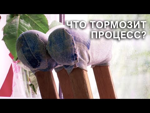 Видео: Проверка здравоохранения: ЧТО обнаружил контроль в Брестской области? | Поручения Президента
