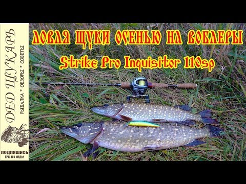 Видео: Ловля щуки осенью на воблеры. Strike Pro Inquisitor 110sp