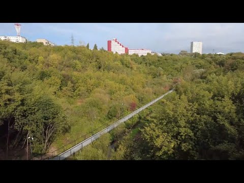 Видео: Новое место для прогулок в Перми! Экологическая тропа над рекой Егошиха!