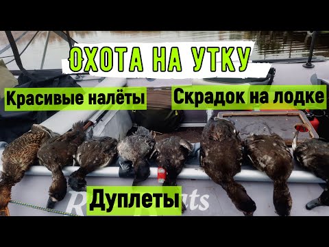 Видео: ЛАДОГА.ОХОТА на УТКУ.Дуплеты.Скрадок на лодке.