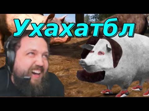 Видео: Бэбэй смотрит фотожабы после Ведьмака