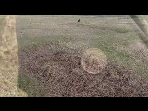 Видео: Копаем на месте исчезнувшего села начала 19 века