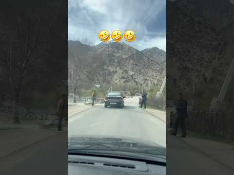 Видео: Чор Гулак дорумее 😂🤣😂