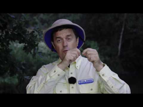Видео: Чертова дюжина. Сезон 1. Офсетные крючки
