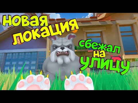 Видео: КОТ СБЕЖАЛ НА УЛИЦУ -  НОВОЕ ОБНОВЛЕНИЕ - I AM CAT