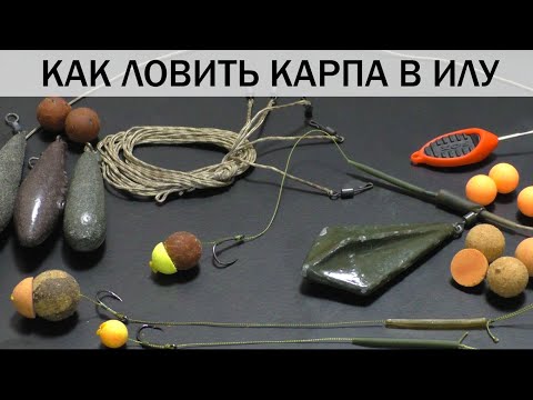 Видео: КАК ЛОВИТЬ КАРПА В ИЛУ. Какой монтаж использовать