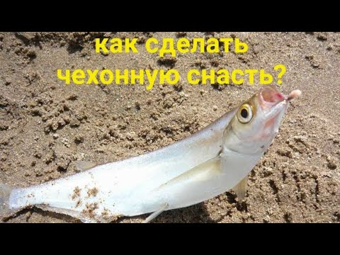 Видео: РЕЗИНКА. Самый просто монтаж для ловли чехони и не только