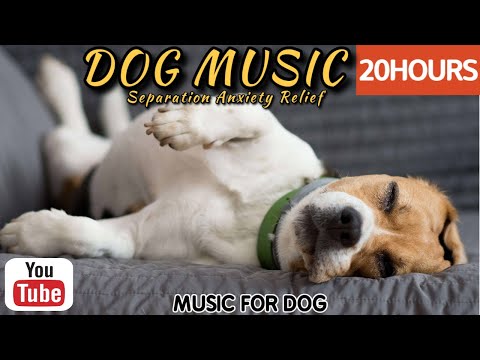 Видео: 20 часов любимой музыки собак🐶💖Музыка для сна собак 🐶🎵 Музыка для снятия беспокойства при разлуке🎵