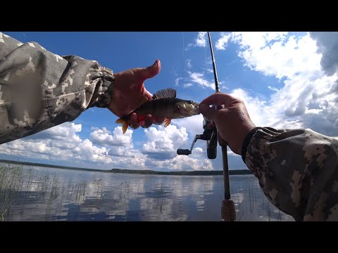 Видео: Большое Градуевское озеро