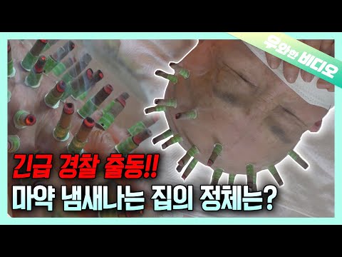 Видео: Сорняк в Корее..!? Дом, полный странного запаха (предупреждение полиции)