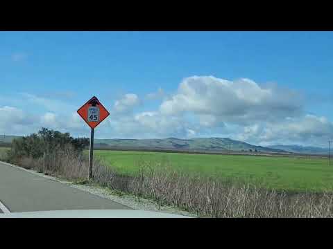 Видео: Завозим пчел на опыление миндаля