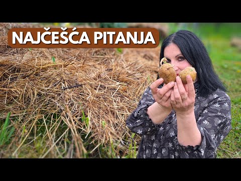 Видео: Ответы на САМЫЕ ЧАСТЫЕ вопросы о Выращивании КАРТОФЕЛЯ НА ТРАВЕ