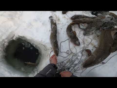 Видео: Рыбалка.Рыбы валом.(серия # 47)