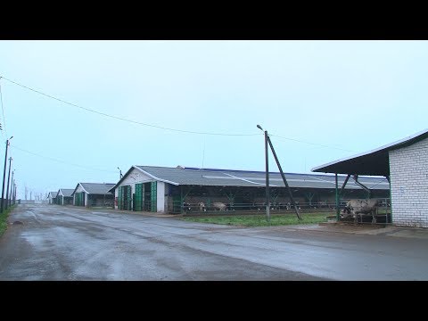 Видео: "Парохонское": будни и праздники. "Подробности" 22.11.2019 г.