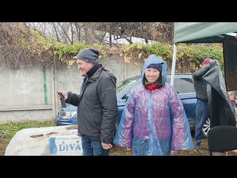 Видео: ВОСКРЕСНАЯ БАРАХОЛКА: ОСЕННЕЕ ЗОЛОТО и СОКРОВИЩА СТАРОГО КИЕВА!🧨🎊✨️🎈🎉 KYIV FLEA MARKET!🧨🎊✨️🎈🎉