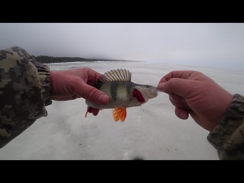 Видео: 16.01.25. Зеленогорск.