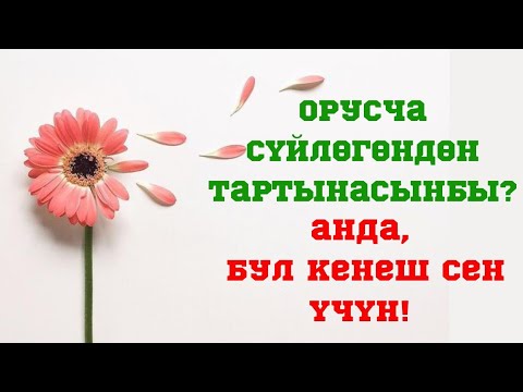 Видео: Тартынчаактыкты жеңүү жолу